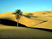 Пустыня Сахара, Ливия