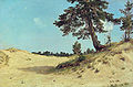 Сосна на песке. И. И. Шишкин. 1884.