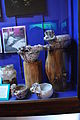 Чаши из музея На-Болом в Сан-Кристобаль-де-Лас-Касас.