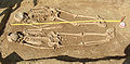 Останки двух девушек в могильнике алеманнов в районе Засбах (Ортенау). VI—VII век