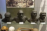 Реконструкции находок неандертальцев и гейдельбергцев из различных мест, слева направо: Ле-Мустье, Ла-Ферраси, Штейнгейм, Гибралтар; экспозиция Дарвиновского музея (Москва)