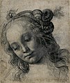 Голова женщины, эскиз для нимфы Венеры. 1475, Британский музей.
