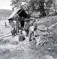 Цыгане из Галиции, около 1895