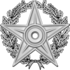 Орден Викиславы II степени