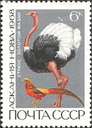Почтовая марка СССР, 1968 год: Страус. Золотой фазан.