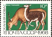 Почтовая марка СССР, 1968 год: Канна. Гуанако.