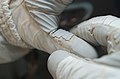 Повреждённая перчатка Ричарда Мастраккио во время STS-118