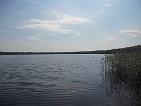 Вид на озеро летом 2017 года.