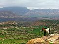 Эфиопское нагорье и гора Рас-Дашэн