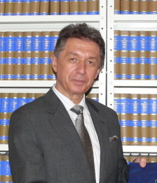 Сергеев в 2013 году