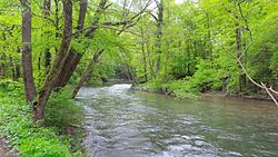 Верхнее течение реки весной 2016 года.