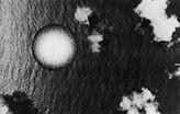 Огненный пузырь подводного взрыва Доминик Рыба-меч, 20 кт на глубине 200 м, вид с воздуха