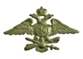 Эмблема военного лётчика на офицерский погон