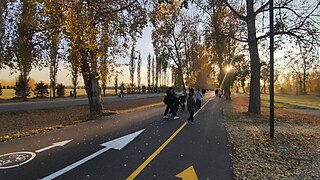 Велосипедно-пешеходная дорожка в Татышев-парке