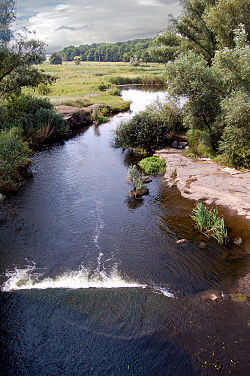 Река близ села Каменка