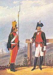 Рядовой и обер-офицер пехотного полка в форме 1786—1796 годов