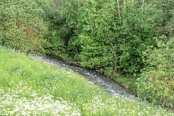 Река Сосенка у деревни Летово после Летовского пруда