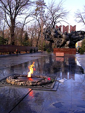Монумент Славы и Вечный огонь в парке