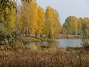 Куликово озеро в городе Волжске