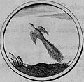 Эмблема «Райская птица» с девизом «Altiora petit» («Высокое ищет») из книги «Символы и эмблемата» 1705 года[42][44]:77