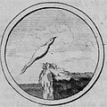Эмблема «Райская птица» с девизом «Nil terrestre» («Ничто земное») из книги «Символы и эмблемата» 1705 года[19]:рис. 37[42][44]:257
