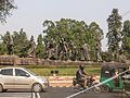 Памятник Соляному походу в Нью-Дели