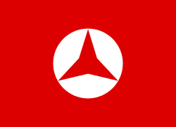 Флаг Народного фронта
