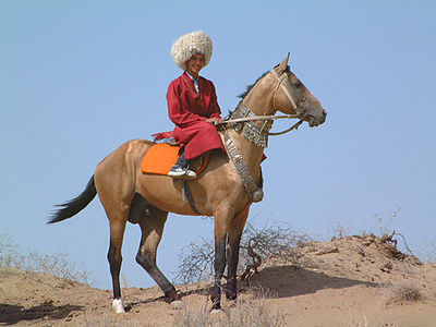 Туркмен в национальной одежде на ахалтекинце
