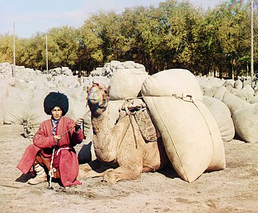 Туркмен, погонщик верблюдов. Фото Прокудина-Горского сделано в 1904—1916 годах