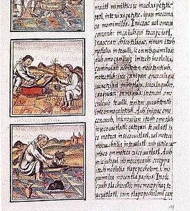 Лист 51 книги IX «Флорентийского кодекса». Текст на науатль