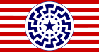 «чёрное солнце» и звезда Техаса на одном из флагов американской неонацистской организации «Авангард Америка» (создана в 2015)