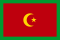 Вариация флага ХНСР с января 1920 по 30 апреля 1920 года.