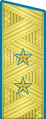 Парадный погон генерал-лейтенант авиации с 1955 по 1994 год.