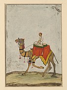 Верблюд со всадником, играющим на литаврах, в Империи Великих Моголов