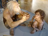 Реконструкция неандертальцев из Ля-Шапель-о-Сен и Гибралтар, экспозиция венского музея естественной истории.