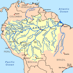 Бассейн реки Амазонки (иногда в него включают также южную часть Гайаны, Суринама и Гвианы)