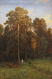 «На опушке соснового леса», 1882, Львовская галерея искусств