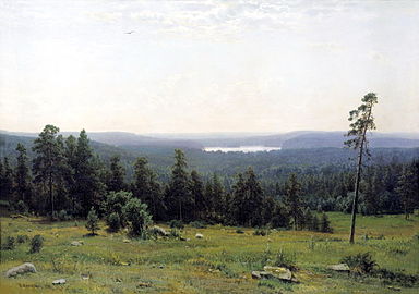 «Лесные дали», 1884