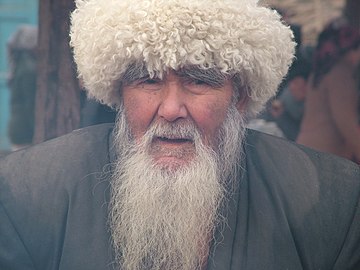 Пожилой уйгур, представитель памиро-ферганской расы