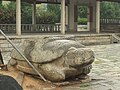 Древняя черепаха в храме Кайюань