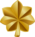 Золотой дубовый лист, используемый в знаках различия Вооружённых сил США