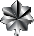 Серебряный дубовый лист, используемый в знаках различия Вооружённых сил США
