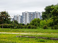 Вид на панельные дома в районе Нагатино из парка имени 60-летия Октябрьской революции. Июль 2014