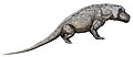 Дейноцефал Anteosaurus
