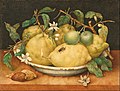 Оса на картине «Натюрморт с чашей цитронов» итальянской художницы Джованны Гарцони (1600–1670)