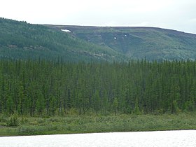 Среднесибирское плоскогорье, вид с реки Нижняя Тунгуска (плато Путорана)