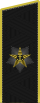 Повседневный погон адмирала флота (с 2013)