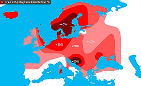 Распространение гаплогруппы I в Европе (в северной зоне преобладает I1, в южной — I2)