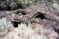 Частично разрушенные лавовые трубки в «Ahjumawi Lava Springs State Park» (англ.) Калифорния