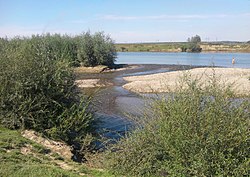 Река Лимница в месте впадения в Днестр, Ивано-Франковская область